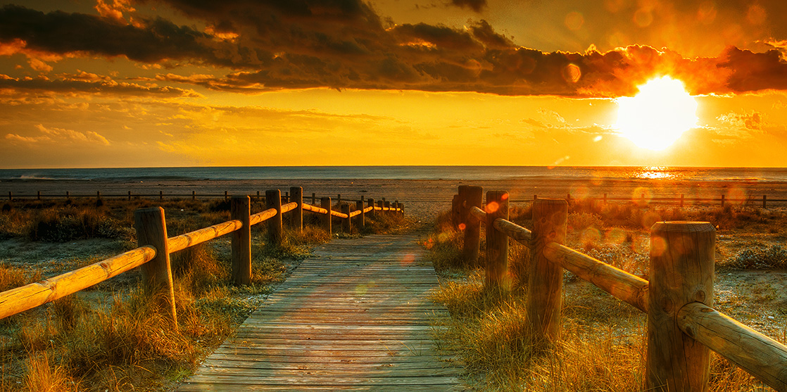 Advanced Landscape Lighting Design Sales